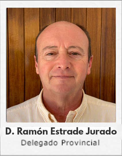 Ramon Estrade